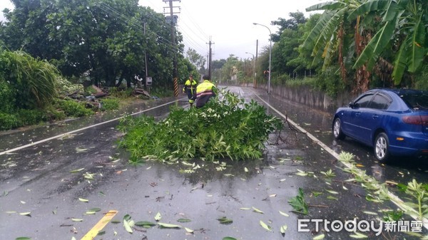 ▲▼花蓮北埔派出所3名員警合力將倒塌大樹移至路旁，還給用路人一個安全的道路。（圖／新城分局提供，下同）
