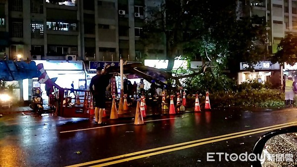 ▲白鹿颱風侵襲台南，入夜以後風雨加大，台南市大同路二段一棵路樹，不敵強風被吹斷倒下，壓到停在路邊一部小客車，並影響交通，幸好無人員受傷。（圖／記者林悅翻攝，下同）