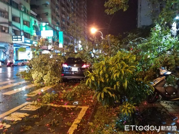 ▲白鹿颱風侵襲台南，入夜以後風雨加大，台南市大同路二段一棵路樹，不敵強風被吹斷倒下，壓到停在路邊一部小客車，並影響交通，幸好無人員受傷。（圖／記者林悅翻攝，下同）