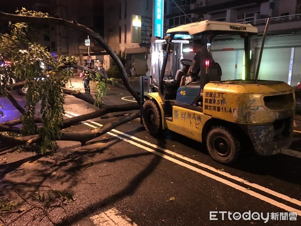 ▲東區裕信路與裕信二街口，有路樹倒塌橫阻於道路中間，警方會同民眾，共同協助鋸斷路樹移至路邊，清掃殘枝排除路障迅速恢復道路順暢，確保行車安全。（圖／記者林悅翻攝，下同）