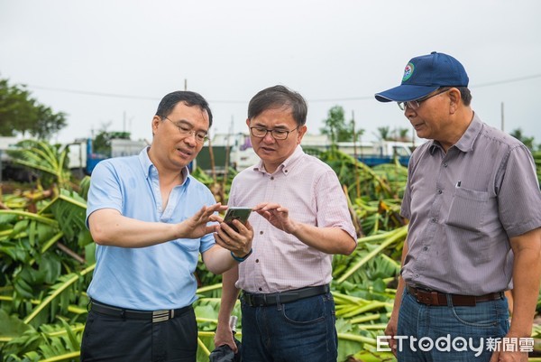 ▲立委劉櫂豪邀集台東農改場陳信言場長及農糧署台東辦事處郭瑞郎主任前往會勘農損情形。（圖／劉櫂豪辦公室提供，下同）