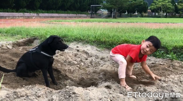 ▲▼歐告開心比賽挖洞！底迪「反向刨土」壓制...輸得灰頭土臉。（圖／粉專我的名字叫ㄍㄡˇㄗˇ授權提供）