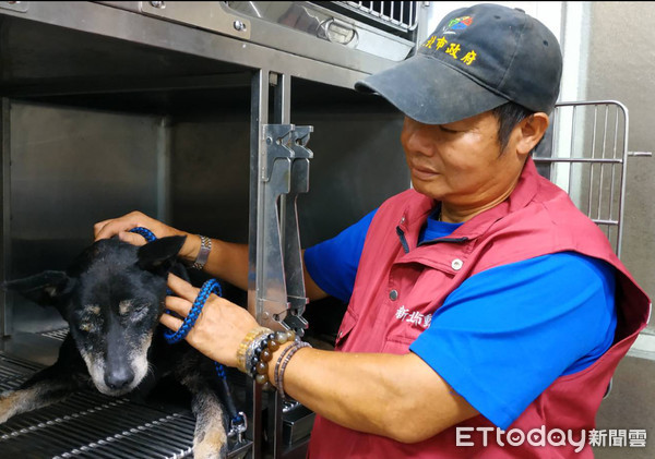 ▲▼動保處在利奇馬颱風時救援落入水溝的小狗。（圖／新北市動保處提供）