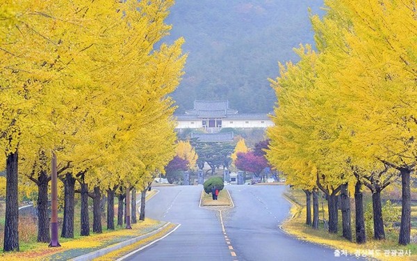 ▲韓國楓葉景點。（圖／Tripbaa趣吧！亞洲自由行專家）
