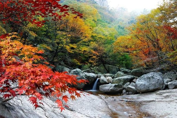 ▲韓國楓葉景點。（圖／Tripbaa趣吧！亞洲自由行專家）