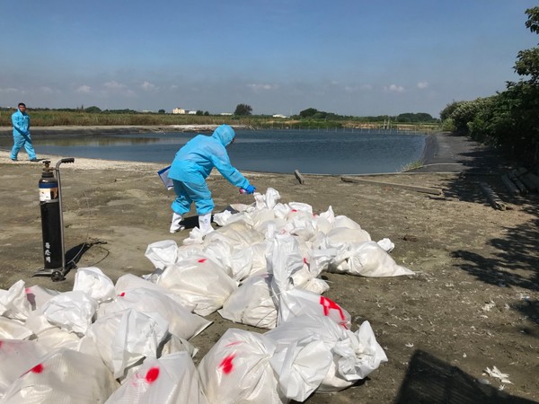 ▲芳苑肉鴨場感染禽流感。（圖／彰化縣動物防疫所提供）