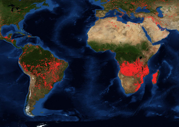 ▲▼NASA全球火災衛星地圖可看出，發生在非洲的火勢更加密集，範圍也更廣。（圖／NASA）