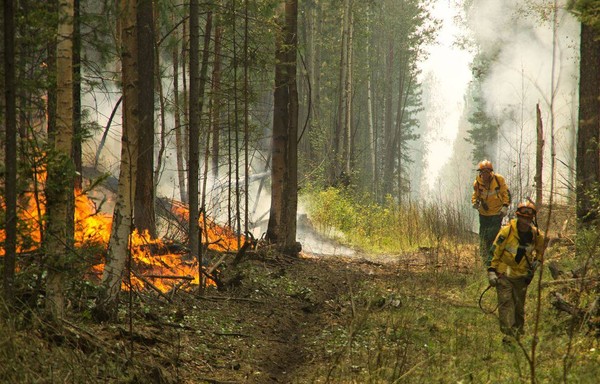 ▲▼俄羅斯西伯利亞地區8月也發生大規模森林野火。（圖／翻攝自ФБУ 