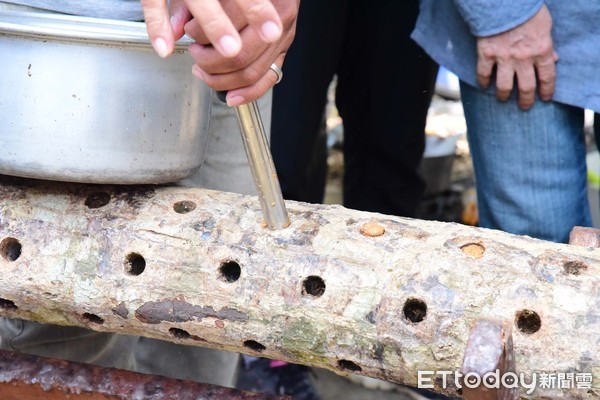 ▲屏科大甜蜜森林、循環再生林下經濟人才培訓基地28日揭牌。（圖／記者陳崑福翻攝）