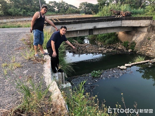 ▲觀音區新坡灌溉大排疑人傾倒大量死垃圾魚。（圖／記者楊熾興攝）