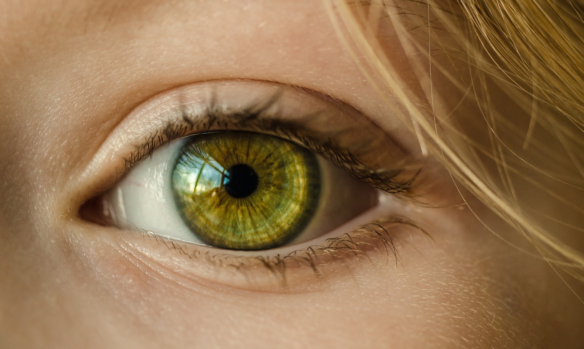 ▲▼ 眼睛,眼球,眼睫毛,眼珠,。（圖／免費圖庫pixabay）