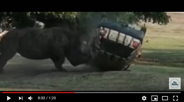 動物園犀牛突然抓狂攻擊！　巡邏車慘變「玩具」驚險倒地又翻又滾。（圖／翻攝自YouTube／MY NEWS TV）