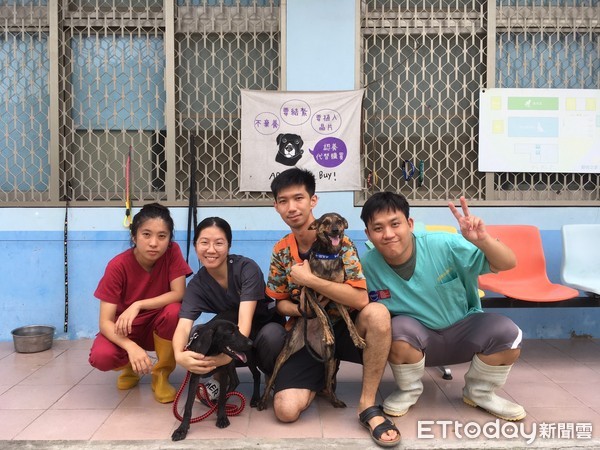 ▲台南市動物之家的毛小孩，在暑假實習生加入協助支援下，過著幸福的日子。（圖／記者林悅翻攝，下同） 