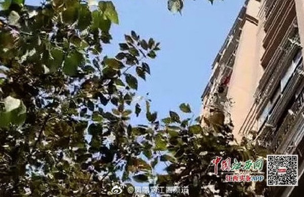 5歲童爬出陽台摔落11樓　鄰居聽到「恐怖巨響」目睹他墜地身亡。（圖／翻攝自大陸微博／鳳凰網江西頻道）