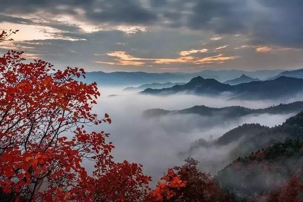 ▲來河南尋找詩意秋天▼。（圖／七逗旅遊網提供）