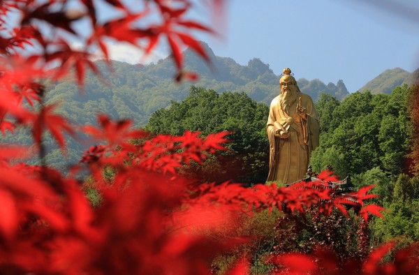 ▲來河南尋找詩意秋天▼。（圖／七逗旅遊網提供）