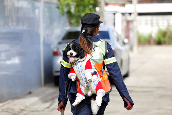 ▲▼泰國曼谷清潔員凱歐瓦蘭(Thitirat Keowa-ram)，帶狗上班的可愛模樣在網路上爆紅。（圖／路透社）