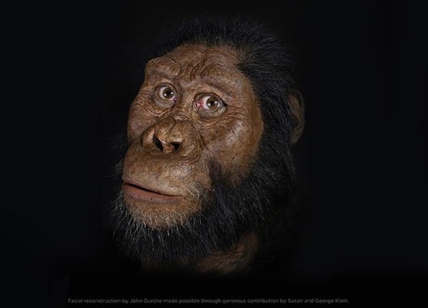▲380萬年前原始人頭顱出土。（圖／翻攝自美國克里夫蘭自然歷史博物館）