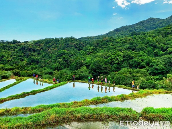 ▲「石門百年梯田」大專生洄游農村 《Fun青嵩》在地體驗翻轉農村。（圖／Fun青嵩團隊提供）