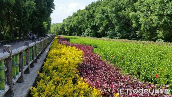 ▲ 板橋環河公園旁土地綠美化 擴大綠地供市民休憩空間。（圖／新北市城鄉發展局提供）