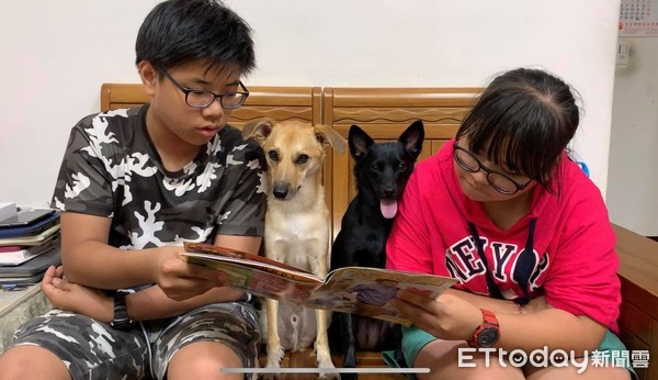 ▲歐告做錯事舉手投降裝無辜。（圖／臉書粉專「淡定哥嘎逼&小屁孩歐妹」授權提供，下同）