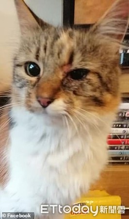 ▲。（圖／翻攝自Claire Isaac臉書）