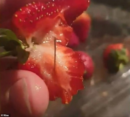 ▲澳洲再度驚爆「草莓藏針」事件，引發社會恐慌。(圖／翻攝自Nine電視畫面)