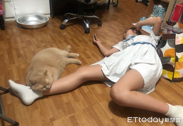 ▲拍好了沒？圓臉貓「臭臉定格」等拍照...媽笑翻：誤會大了啦。（圖／網友Sasa Chan提供，請勿隨意翻拍，以免侵權。）