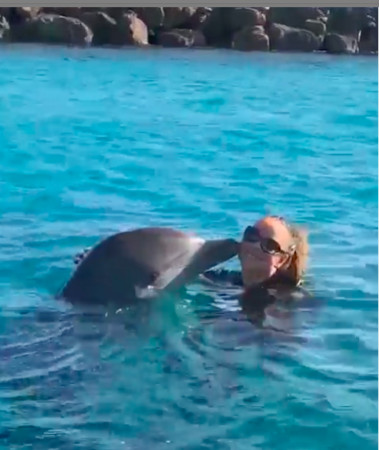 瑪麗亞凱莉海豚音一飆⋯「真海豚」嚇到彈飛　網笑翻：它沒聽過人類說海豚話