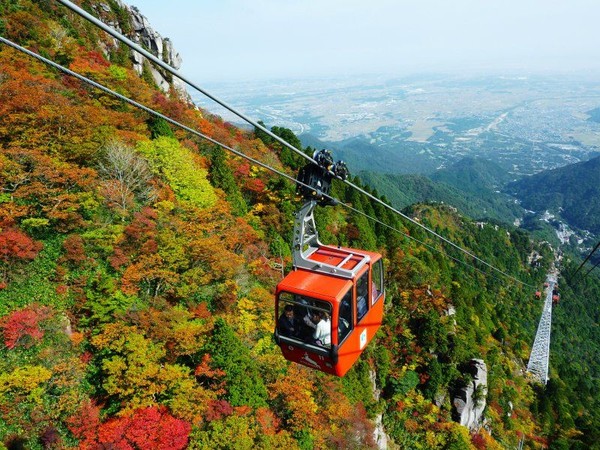 ▲秋天來日本開場紅葉派對！點名紀州、京都賞楓名勝▼。（圖／七逗旅遊網提供）