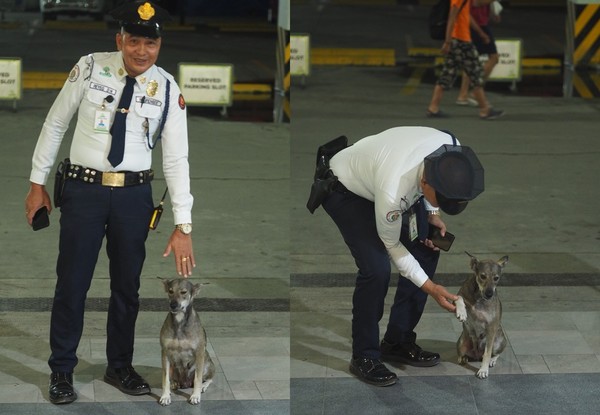 菲律賓警衛偷寵浪浪。（圖／翻攝自Saving Strays Cebu）