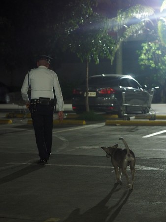 菲律賓警衛偷寵浪浪。（圖／翻攝自Saving Strays Cebu）