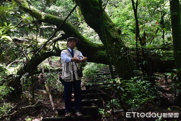 ▲梨山,新佳陽部落。（圖／記者陳涵茵攝）