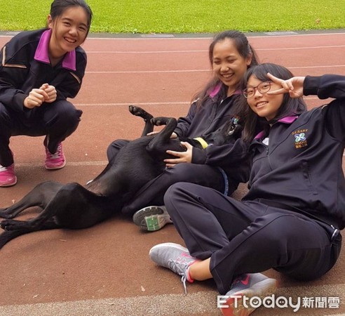 ▲警衛去尿尿...校犬黑妞自動上坐「盯梢」，還會護送學生回宿舍。（圖／鶯歌高職老師廖婉如提供，）