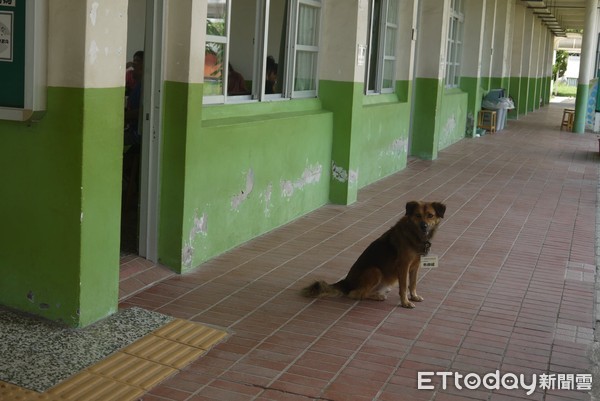 ▲校犬看到送餐廠商經過教室大叫。（圖／網友Vanessa Lin授權提供）