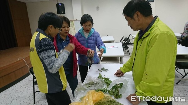 ▲ 臺大植物醫師駐診三芝農會　提供農友諮詢服務。（圖／新北市農業局提供）