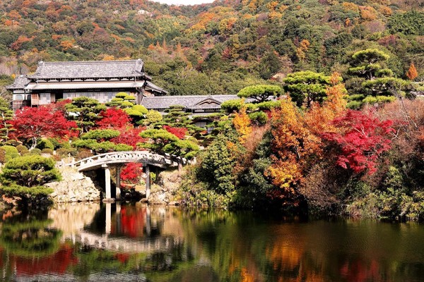 ▲祕境賞楓，這裡最「楓」！讓人不想再回到都巿的山口縣▼             。（圖／七逗旅遊網提供）