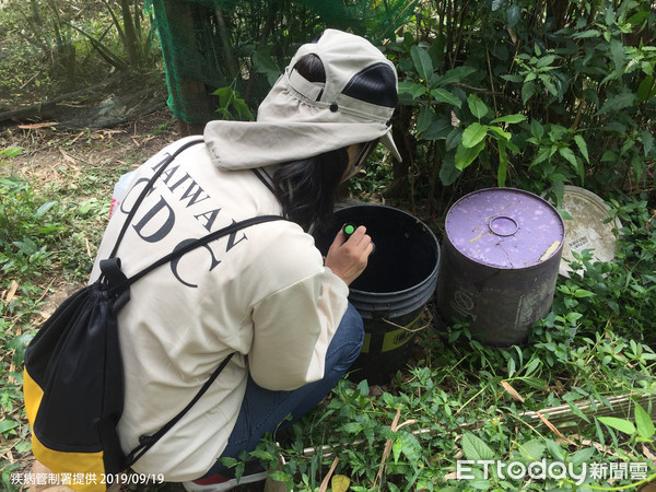 ▲疾管署防疫人員於新北市中和區進行孳生源查核。（圖／疾管署提供）