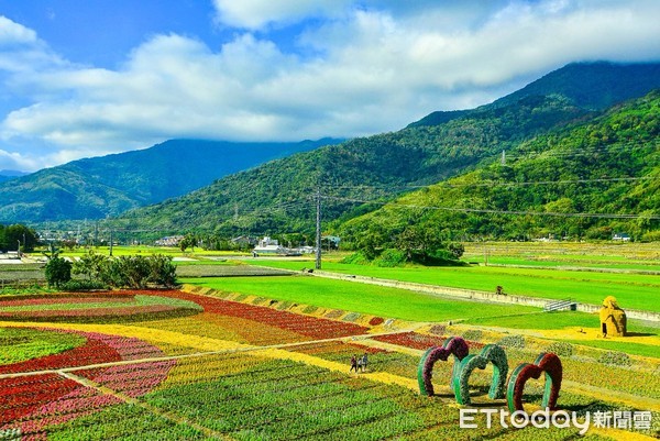 ▲種植關山米美麗的水田景色是遊客打卡的景點。（圖／台東縣政府提供，下同）