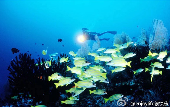 ▲▼索羅門群島有天然海洋資源 。（圖／翻攝自微博／很快樂）