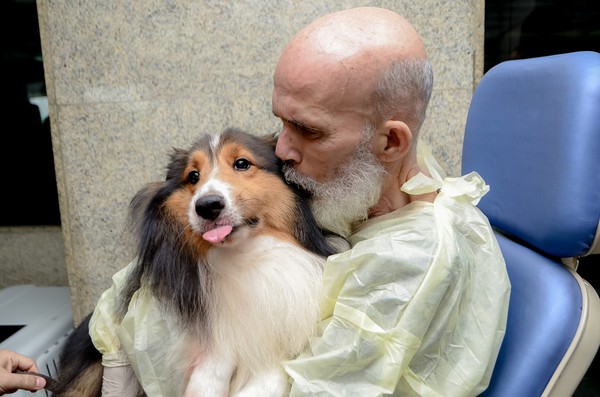 狗狗探望癌症主人。（圖／翻攝自Hospital Memorial São José）