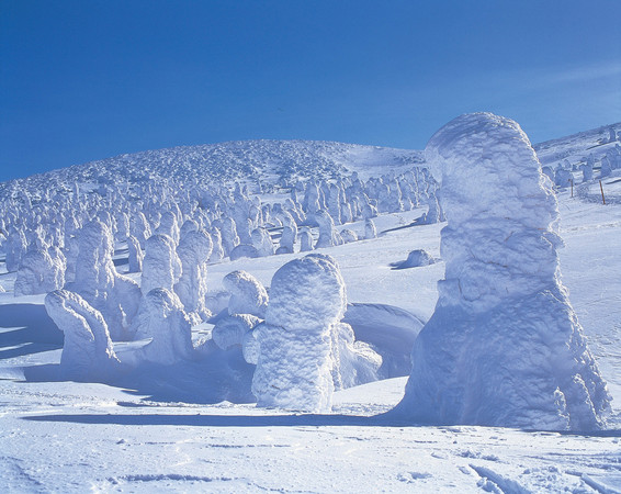 ▲日本冬天必玩！滑雪、賞冰怪、銀色童話世界探險▼             。（圖／七逗旅遊網提供）