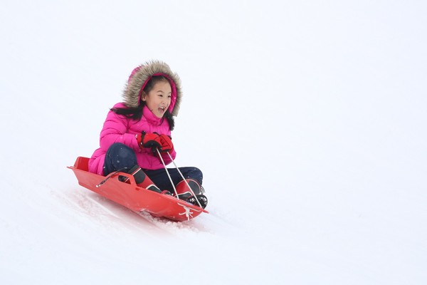 ▲日本冬天必玩！滑雪、賞冰怪、銀色童話世界探險▼             。（圖／七逗旅遊網提供）