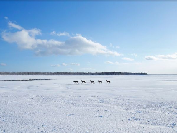 ▲北海道道東玩法。（圖／Tripbaa趣吧！亞洲自由行專家）