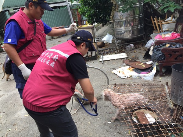 流浪犬舍主人驟逝，44隻毛孩沒家。（圖／新北市動保處提供）