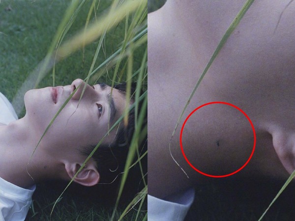 ▲▼劉昊然拍帥照躺草地，被網友發現脖子上停著一隻蚊子。（圖／翻攝自微博）