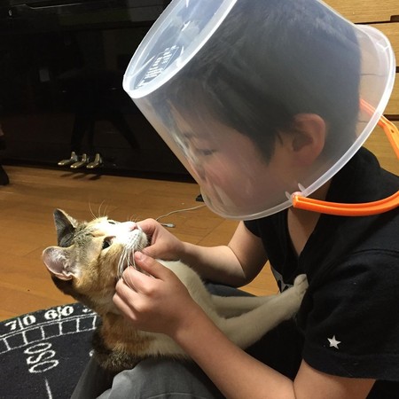 ▲小奴才拿水桶套在頭上，防止貓抓。（圖／翻攝自Instagram／@koyuki_chan01）