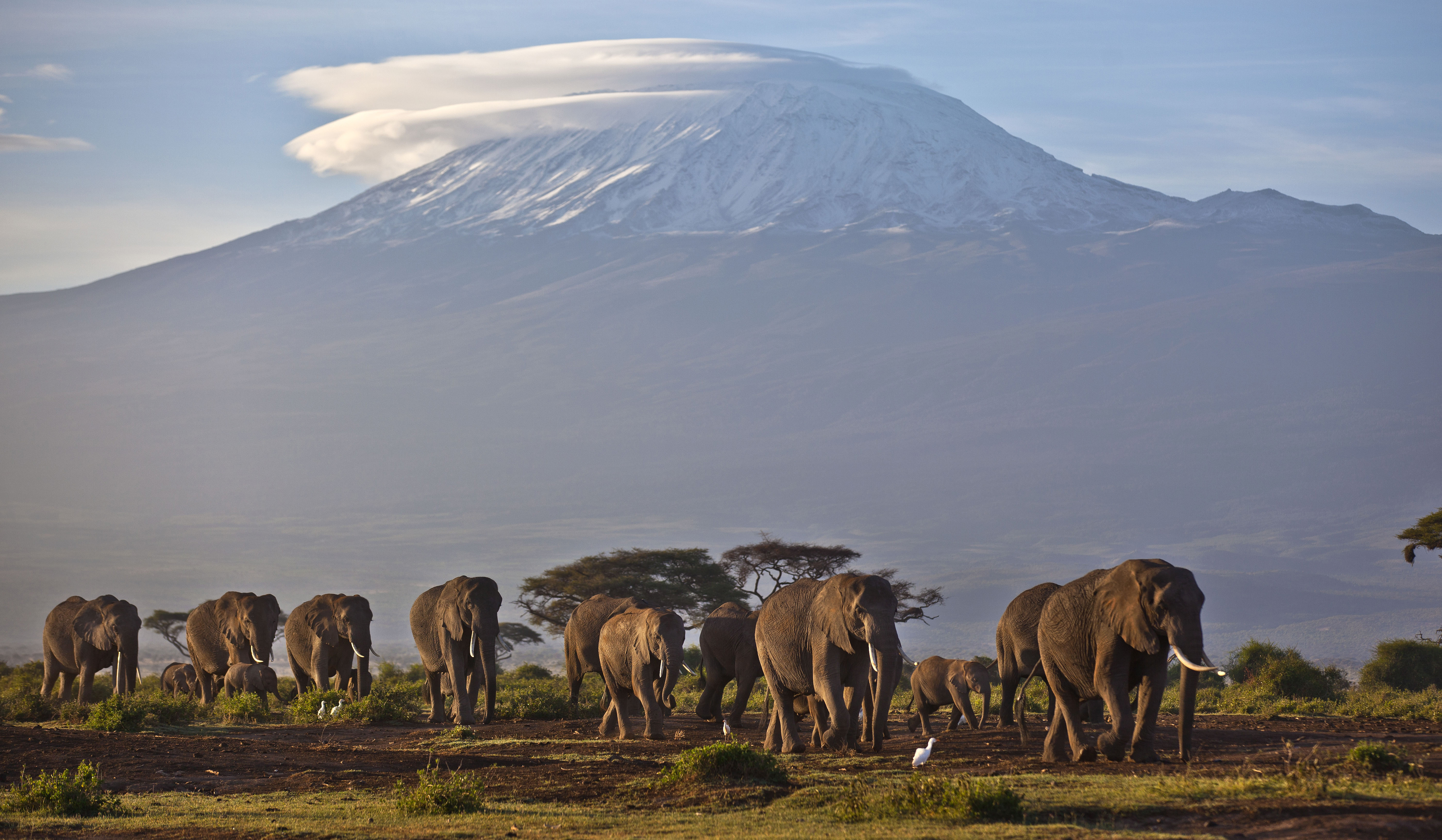 ▲▼非洲第一高峰「吉力馬札羅山」（Mount Kilimanjaro）。（圖／達志影像／美聯社）