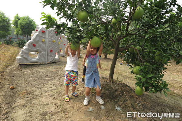 ▲▼英聯森林幼兒園。（圖／記者陳政錄攝）