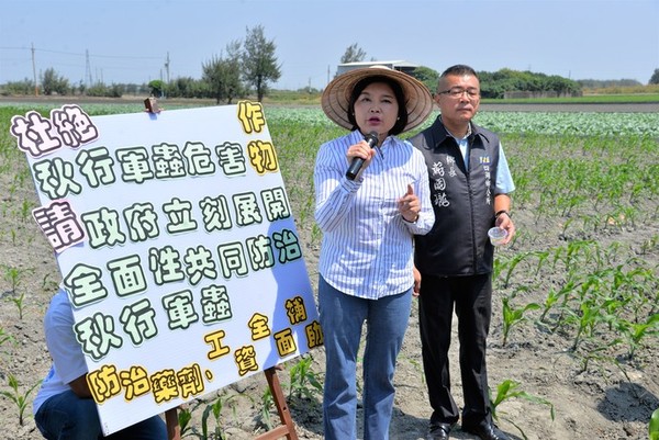 ▲縣長張麗善動用預備金要讓秋行軍蟲絕跡。（圖／雲林縣政府提供）